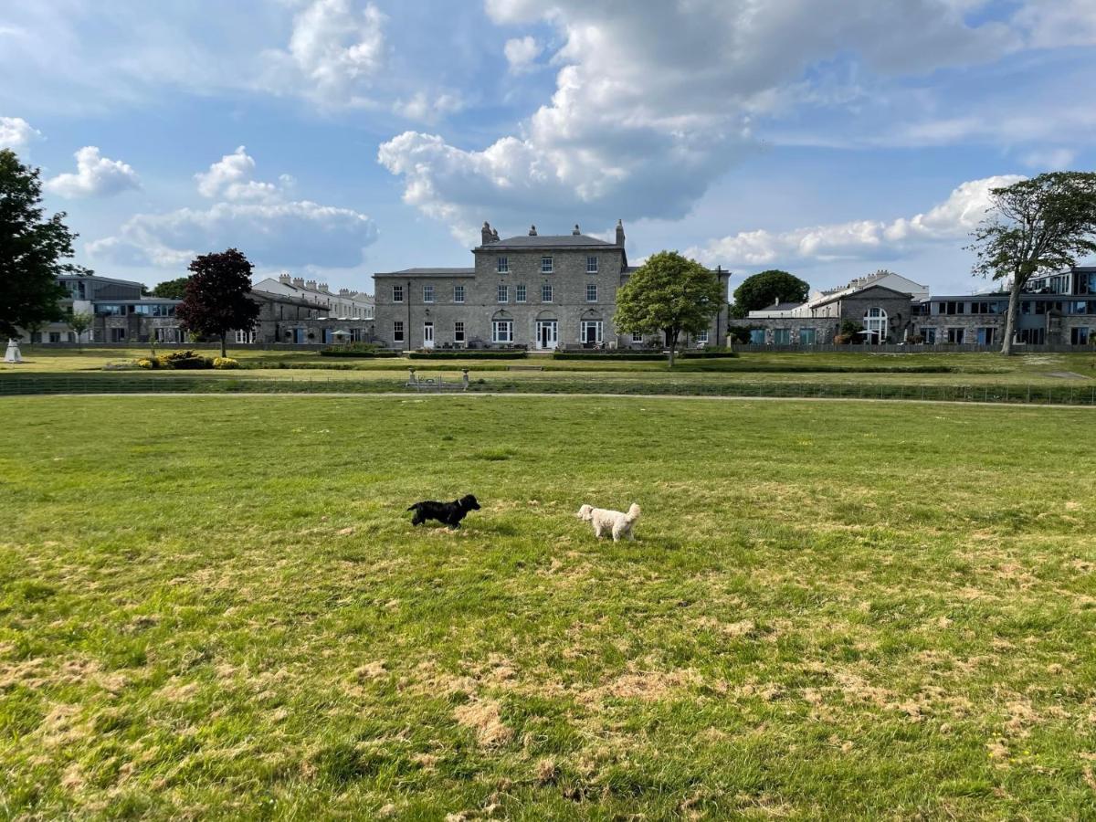 3 Bed- The Pavilion By Pureserviced Plymouth Exterior photo